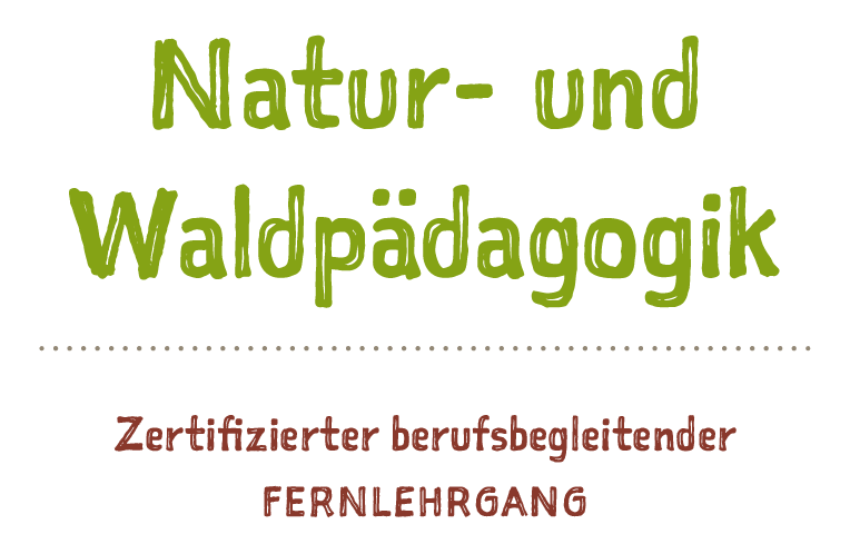 Fernlehrgang Text